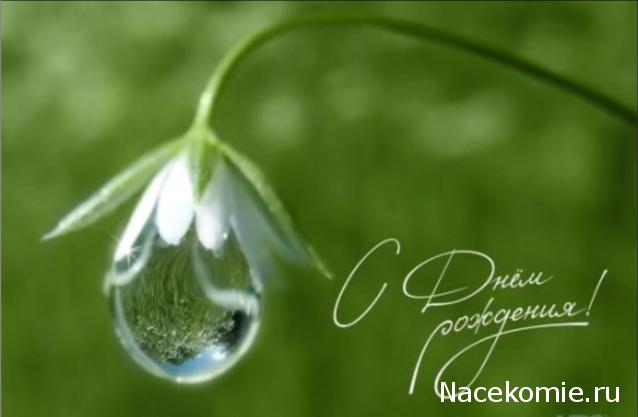 Дамы эпохи - Наши дни рождения