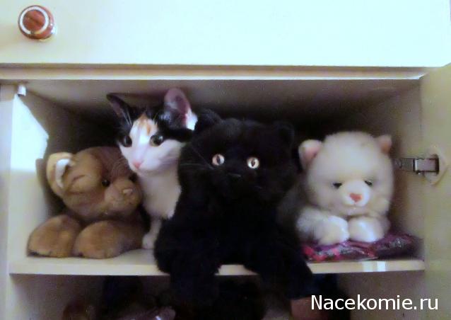 Дамы эпохи - Болталка №2 (соседняя палата)