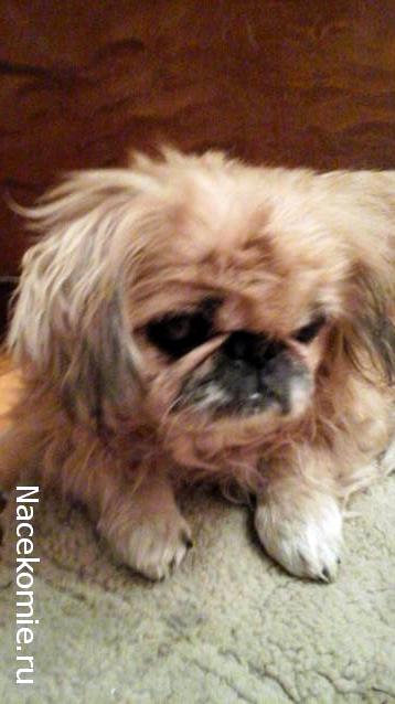 Дамы эпохи - Болталка №2 (соседняя палата)