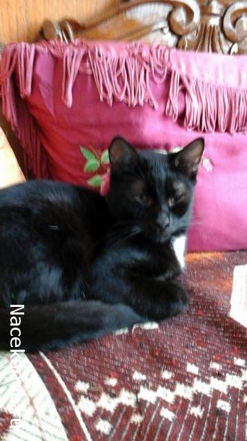 Дамы эпохи - Болталка №2 (соседняя палата)