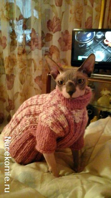 Дамы эпохи - Болталка №2 (соседняя палата)