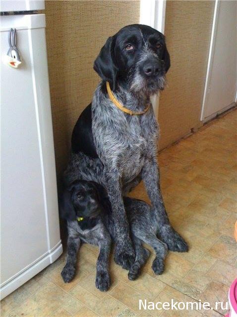 Дамы эпохи - Болталка №2 (соседняя палата)