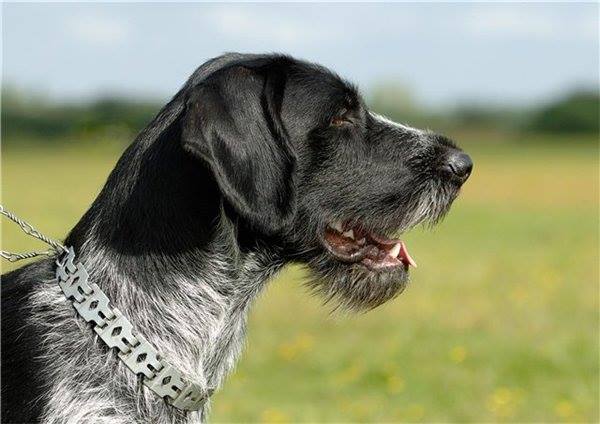 Дамы эпохи - Болталка №2 (соседняя палата)