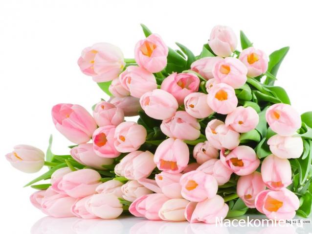 Kittyrina - мой любимый домик и мои масяньки