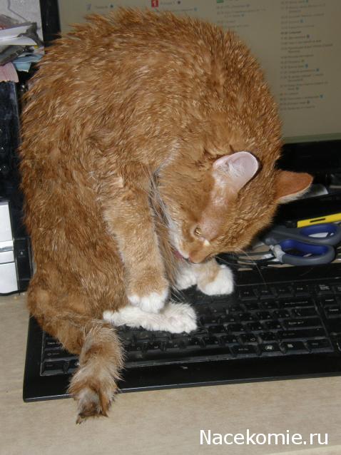 Дамы эпохи - Болталка №2 (соседняя палата)