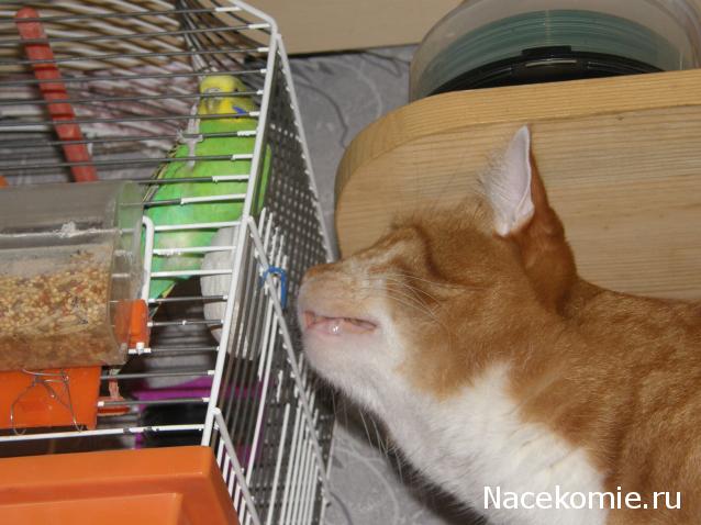 Дамы эпохи - Болталка №2 (соседняя палата)