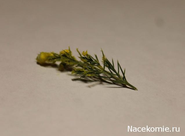 MAZEKA представляет