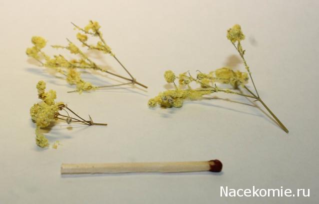 MAZEKA представляет