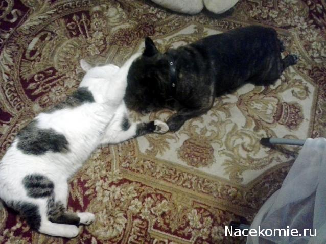 Дамы эпохи - Болталка №2 (соседняя палата)