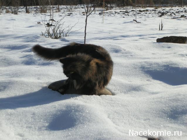 Дамы эпохи - Болталка №2 (соседняя палата)