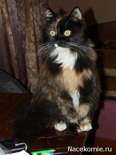 Дамы эпохи - Болталка №2 (соседняя палата)