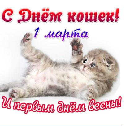 Дом Мечты Болталка: перезагрузка