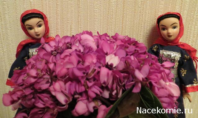 Куклы в народных костюмах №81 Кукла в лезгинском женском костюме