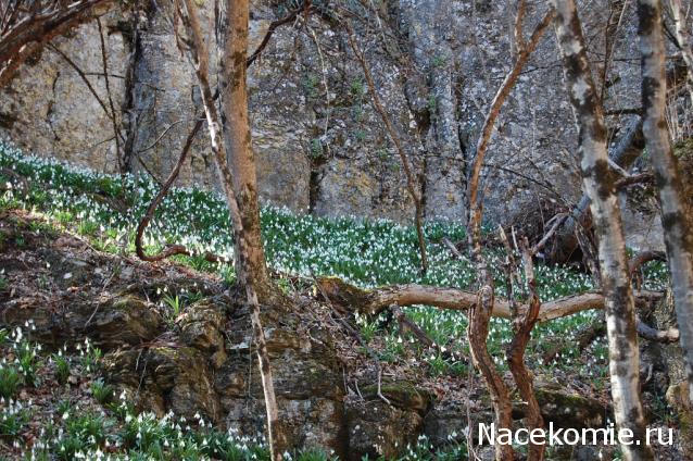 Куклы в народных костюмах №63 Кукла в праздничном костюме крымской татарки