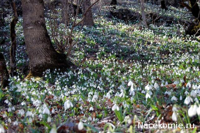 Куклы в народных костюмах №63 Кукла в праздничном костюме крымской татарки