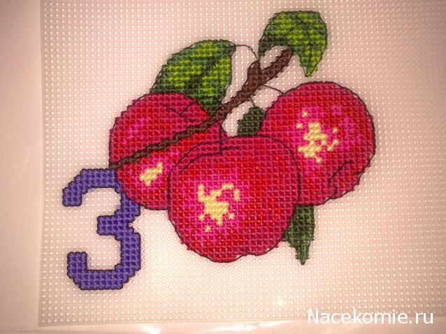 Round Robin №5 (российский)