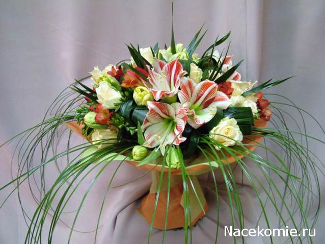 Kittyrina - мой любимый домик и мои масяньки