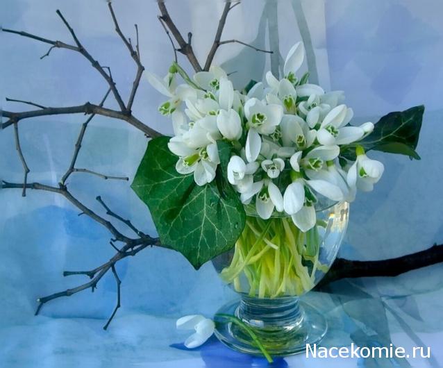 Дом Мечты Болталка: перезагрузка