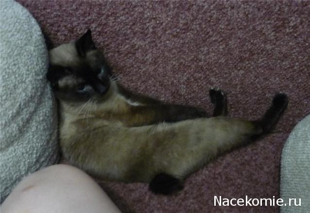 Дамы эпохи - Болталка №2 (соседняя палата)