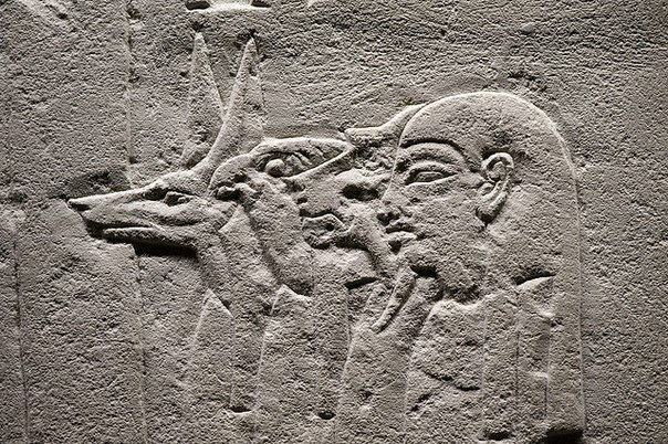 Тайны Богов Египта №57 Гормесут - четыре сына Гора фото, обсуждение