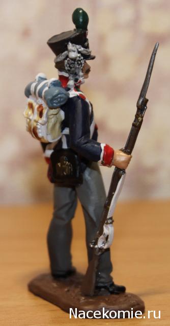 Hobby & Work "Наполеоника"