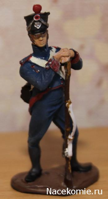 Hobby & Work "Наполеоника"