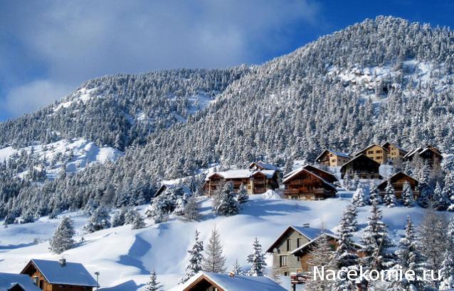 Ribka - У "Мечты" начинает вырисовываться стиль...