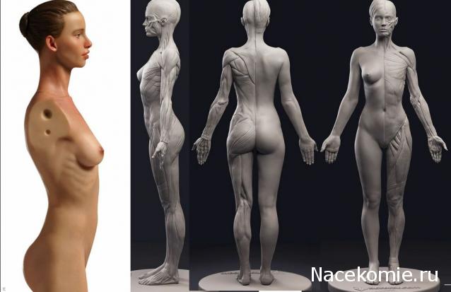 LIO - Тоже куклы, но другие.