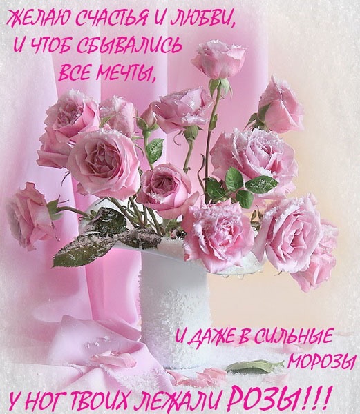 Ribka - У "Мечты" начинает вырисовываться стиль...