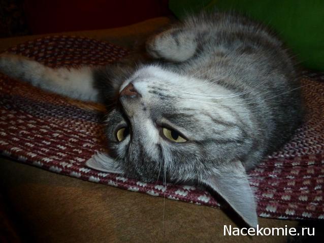 Дамы эпохи - Болталка №2 (соседняя палата)