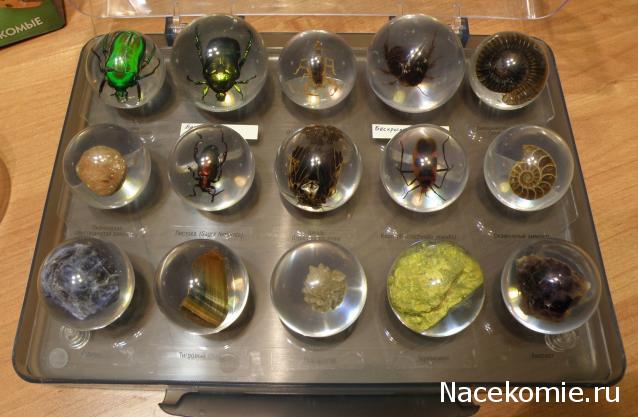 Чудеса Природы хранение журналов и коллекции