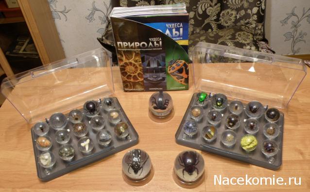 Чудеса Природы хранение журналов и коллекции