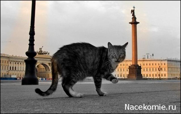 Дежурная Часть - Болталка форума Полицейские Машины Мира