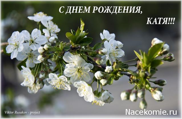 Kittyrina - мой любимый домик и мои масяньки