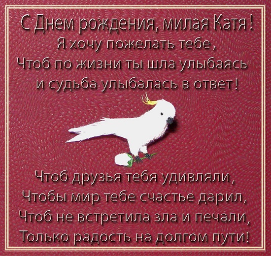 Kittyrina - мой любимый домик и мои масяньки