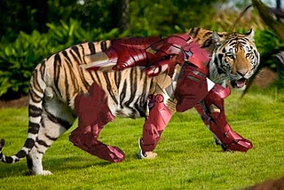 Энергия Камней №25 - Железистый тигровый глаз