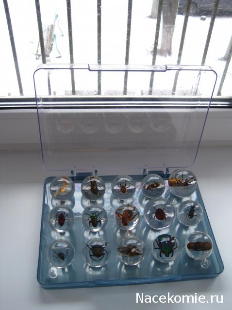 Чудеса Природы хранение журналов и коллекции