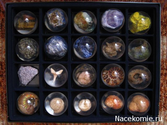 Чудеса Природы хранение журналов и коллекции