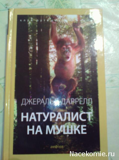 Клуб путешественников (Амфора)