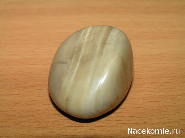 Энергия Камней №32 - Древесный опал