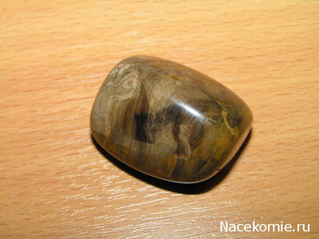 Энергия Камней №32 - Древесный опал