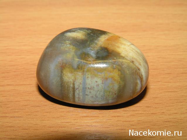 Энергия Камней №32 - Древесный опал