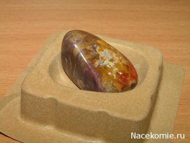 Энергия Камней №32 - Древесный опал