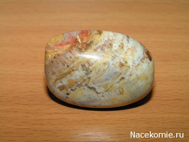 Энергия Камней №32 - Древесный опал