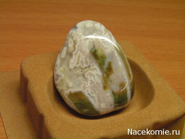 Энергия Камней №32 - Древесный опал