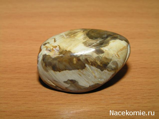 Энергия Камней №32 - Древесный опал