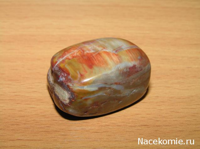 Энергия Камней №32 - Древесный опал