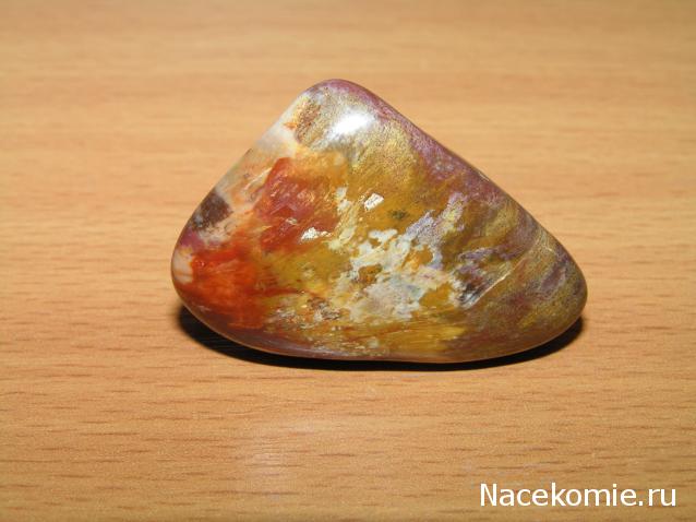 Энергия Камней №32 - Древесный опал