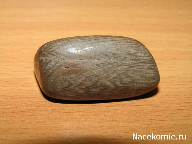 Энергия Камней №32 - Древесный опал