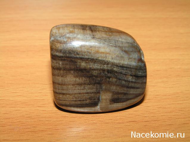 Энергия Камней №32 - Древесный опал